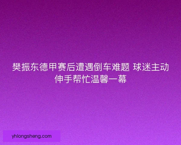 樊振东德甲赛后遭遇倒车难题 球迷主动伸手帮忙温馨一幕