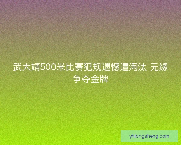 武大靖500米比赛犯规遗憾遭淘汰 无缘争夺金牌