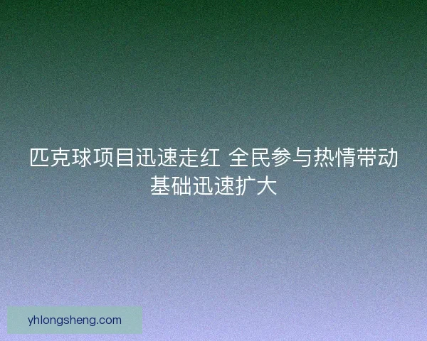 匹克球项目迅速走红 全民参与热情带动基础迅速扩大